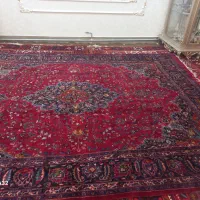 فرش مشهد|فرش|بناب, |دیوار