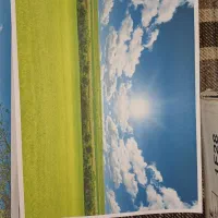 پرینتر canon|پرینتر، اسکنر، کپی، فکس|اردبیل, |دیوار