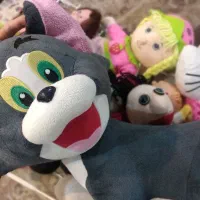 عروسک پلیشی