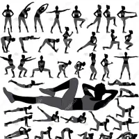 اندام سازی ، فرم دهی ، عضله سازی