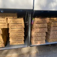 جوجه ماشینی جشنواره عیدانه