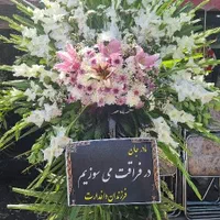 تاج گل|گل مصنوعی|شیراز, کلاهدوز|دیوار