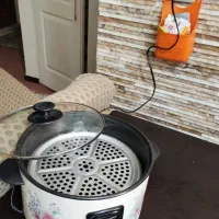 بخارپز برقی سالم