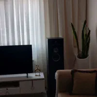 دو عدد باند بزرگ