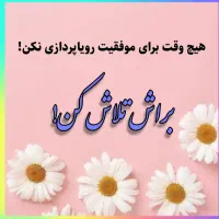 کافی نت