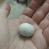 سنگ آسیاب|جواهرات|قزوین, |دیوار