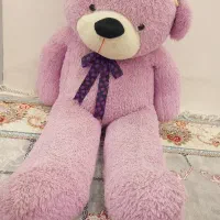 شاسخین