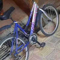 دوچرخه۲۴ درحدنو