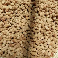 توت ۴۰۴|گل و گیاه طبیعی|مشهد, امامیه (شهرک غرب)|دیوار