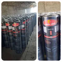 ایزوگام وقیرگونی|خدمات پیشه و مهارت|نوشهر, |دیوار