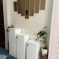 جاکفشی همراه اینه