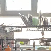 آبچکان پشت پنجره ای