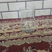 ماهی قرمز سالم و تنگ ماهی عمده