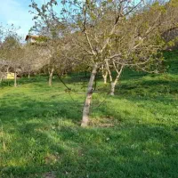 زمین متراژ دلخواه داخل بافت