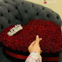 گل روبانی یا جاویدان