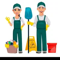 کار در کارواش