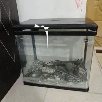 شیشه آکواریوم