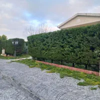 هرسکاری تخصصی با دستگاه و سمپاشی، علف تراش|خدمات باغبانی و درختکاری|چمستان, |دیوار