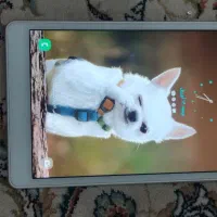 تبلت TAB A 8