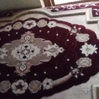 6عدد پشتی تمیز