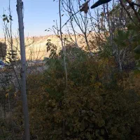 فروش-خونه-باغ-روستای-مشایخ-دشمنزیاری