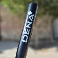 بیسبال دنا|ورزش‌های توپی|ساری, |دیوار