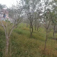 فوش خانه باغ 600متری