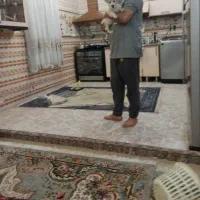 توله 3ماهه شیتزوکراس