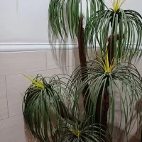 نخل مصنوعی