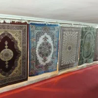 فرش ابریشمی ماشینی|فرش|کرمانشاه, |دیوار