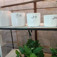 گلدون سرامیکی
