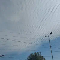 ساینا 402s|خودرو سواری و وانت|اهواز, کوی مهدیس|دیوار