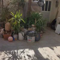 منزل ویلایی سه خوابه مرتب|فروش خانه و ویلا|شیراز, تندگویان|دیوار