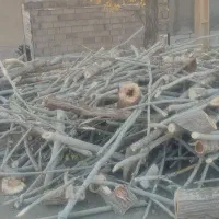 خرید انواع چوب خانەهای قدیمی و چوب باغی|خدمات باغبانی و درختکاری|بانه, |دیوار