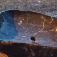 روشوییرودخانه ای|لوازم سرویس بهداشتی|رامیان, |دیوار