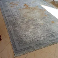 فرش کارخانه به خانه 6 /9 /12|فرش|رشت, سعدی (تختی)|دیوار