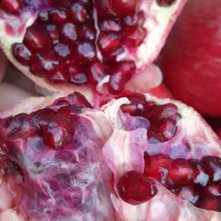 فروش انار ترکیده درجه یک دون مشکی|خوردنی و آشامیدنی|ارسنجان, |دیوار