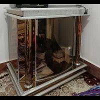 زیر تلویزیونی