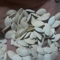 تخمه کدو بوجار شده