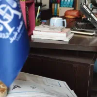 ثبت شرکت ثبت برند -  کارت بازرگانی -گرید وتغییرات