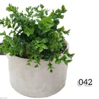 گرین وال و فنس برگی|مصالح و تجهیزات ساختمان|اهواز, آریاشهر|دیوار