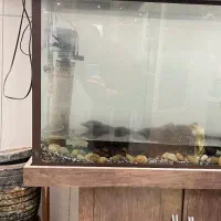 آکواریوم با لوازم