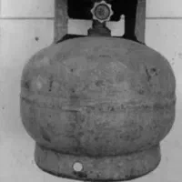 پیکنیک سالم قیمت مناسب