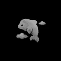 راننده مطمئن خانم