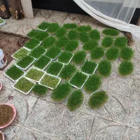 سبزه جهت مراسمات شادی وتویل تکن|گل مصنوعی|کوهدشت, |دیوار