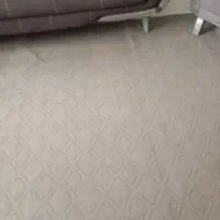 قالی و موکت