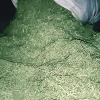 یونجه خشک