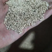 کنجد ارده یک اتیشه درجه یک|خوردنی و آشامیدنی|تهران, قیام|دیوار