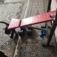 میز پرس سینه و هالتر