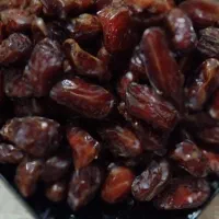 پخش خرمای کبکاب دشتستان درجه ۱ بدون شیره|خوردنی و آشامیدنی|رامسر, |دیوار